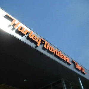 HARLEY DAVIDSON